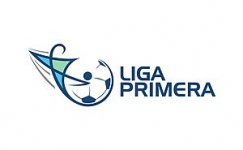 شعار الدوري الممتاز
